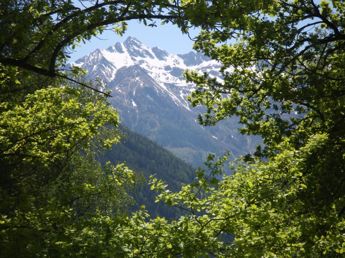 Appart Burgwies Ink Nationalpark Sommercard Stuhlfelden Exterior photo