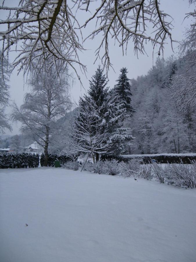 Appart Burgwies Ink Nationalpark Sommercard Stuhlfelden Exterior photo